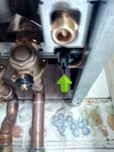 IMG_20160129_095000_1