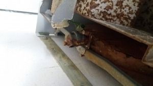 fuga agua purgador junkers